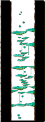 Minimap of Dungeon, Southern Forest III