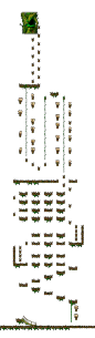 Minimap of The Forest of Patience <Step 2>