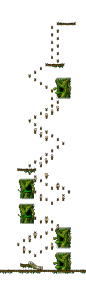 The Forest of Patience <Step 5>