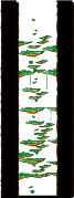 Minimap of Tree Dungeon, Forest Up North III