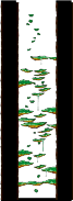 Minimap of Tree Dungeon, Forest Up North V