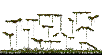 Minimap of The Swamp of Despair III
