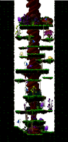 Minimap of The Faded Canopy
