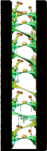 Magician's Tree Dungeon